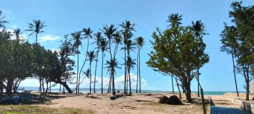 een groep palmbomen op een zandstrand bij Aljay & Joan's Homestay in Pagudpud