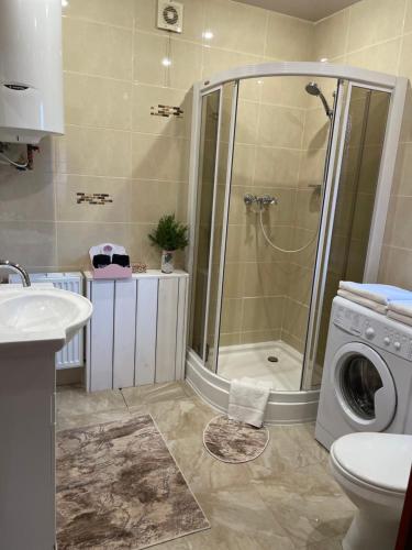 een badkamer met douche en wasmachine bij Еко котедж Яблуницька троянда in Yablunytsia
