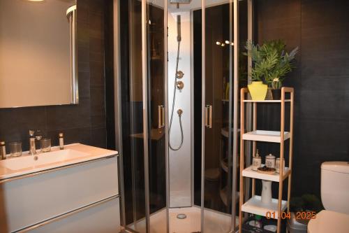 een badkamer met een douche en een wastafel bij Villa Lumières in Goult