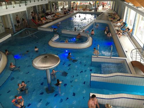 un groupe de personnes dans une piscine dans l'établissement Aqua Apartman Panoráma, à Velence