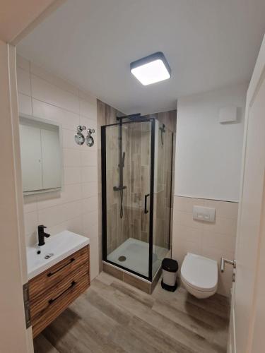 a bathroom with a shower and a toilet and a sink at Modernes Apartment in Huttenberg