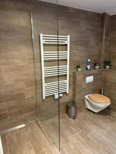 a bathroom with a toilet and a glass shower at Hirsch Panorama in Bad Wildbad