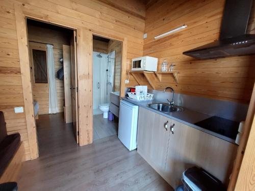 een keuken in een blokhut met een wastafel bij Bungalows Nou Camping in Guingueta