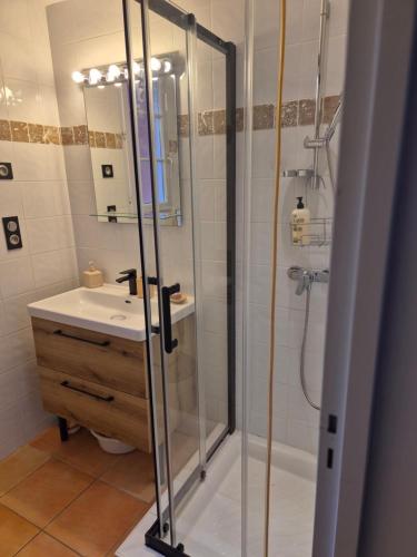 een badkamer met een douche en een wastafel bij Appartement Syrah in Collioure