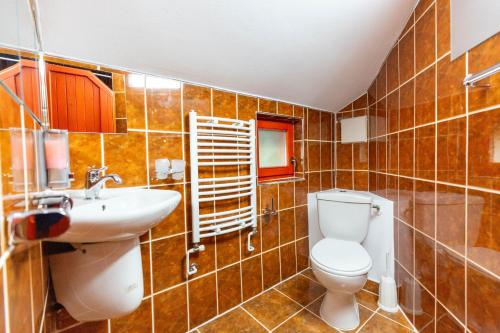 ein Badezimmer mit Toilette und Waschbecken in der Unterkunft Pensiunea Alpin SPA in Ranca