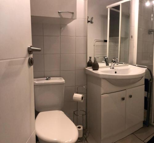 ein weißes Badezimmer mit Toilette und Waschbecken in der Unterkunft La p'tite maison in Montalieu-Vercieu