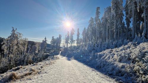 a snow covered road with trees and the sun in the sky at Domek Jak z Obrazka in Sierpnica
