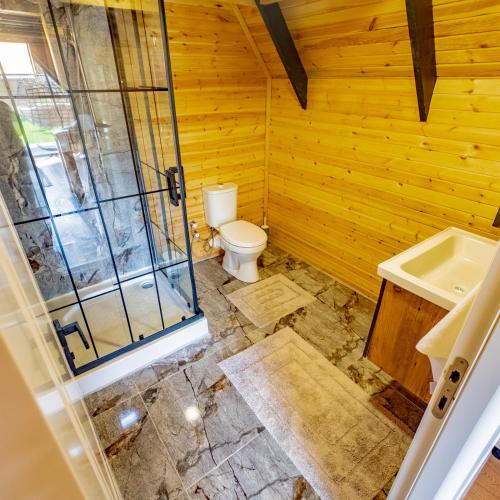 a bathroom with a toilet and a sink at Bugi Suit Bungalov in Erenköy