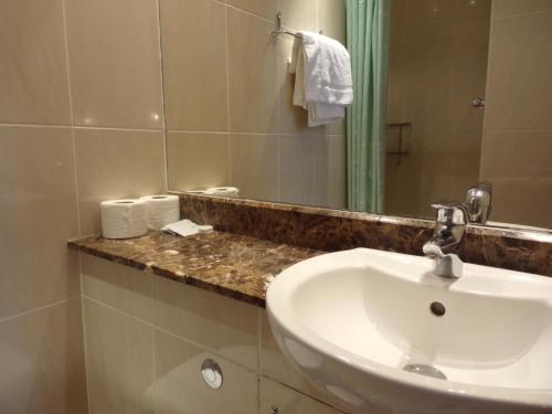 y baño con lavabo y espejo. en Wedgewood Hotel en Londres
