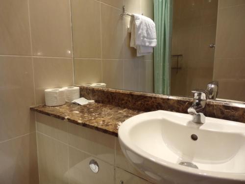 a bathroom with a sink and a mirror at Wedgewood Hotel in London