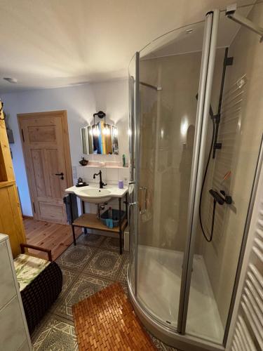 een badkamer met een douche en een wastafel bij Auszeit bei Katharina in Frauenstein