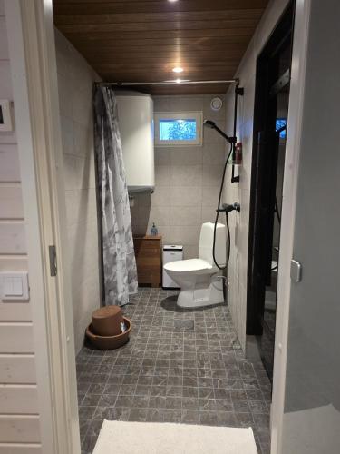 a small bathroom with a toilet and a sink at Arctic Sauna Cabin in Rovaniemi