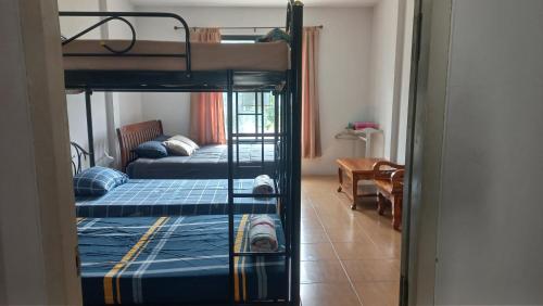 two bunk beds in a room with a hallway at Amaretto Hostel in Surat Thani