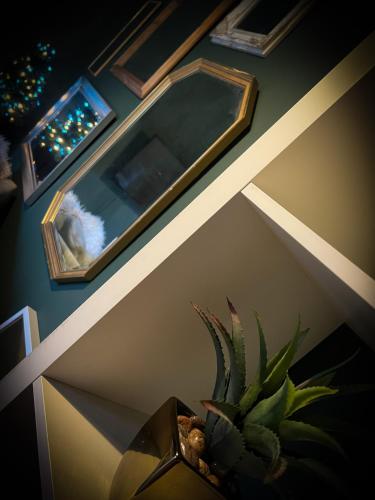 a mirror and a potted plant on a wall at The Nook at Ballyward Croft in Ardkeen