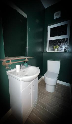 a green bathroom with a sink and a toilet at The Nook at Ballyward Croft in Ardkeen