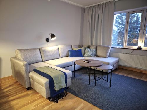ein Wohnzimmer mit Sofa und Tisch in der Unterkunft AGO Nya Lundsgården in Åre
