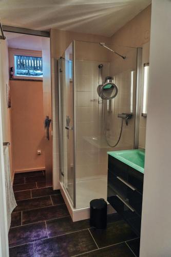 a bathroom with a shower and a green sink at ALPENLOFT vom Berg zum See inklusive gratis KärntenCard in Kanzelhöhe