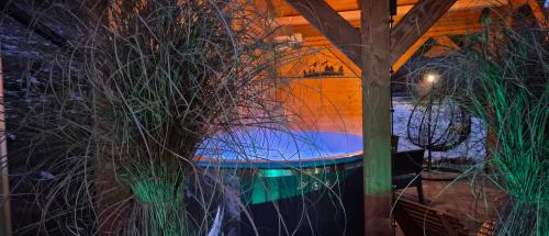 een grote plas water in een kamer met planten bij Willa Golasówka in Muszyna