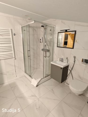 a bathroom with a shower and a toilet and a sink at Ronnenburg apartamenti in Rauna