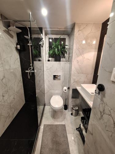 a bathroom with a toilet and a shower and a sink at Apartament Polna 21 in Kalisz