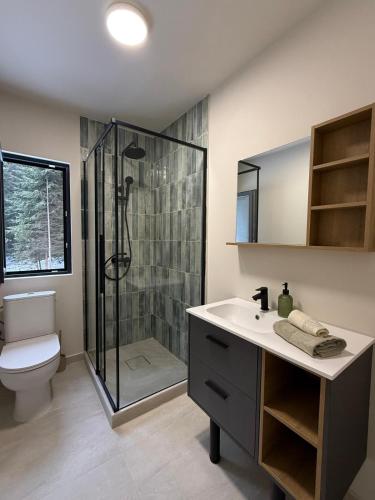 a bathroom with a shower and a toilet and a sink at Cabana Nord Side in Muntele Cacovei
