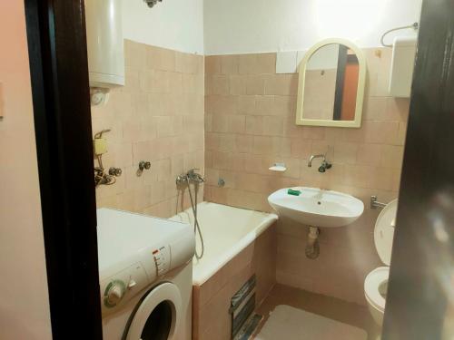 un bagno con lavandino e lavatrice di Apartman Branko Radicević a Negotin