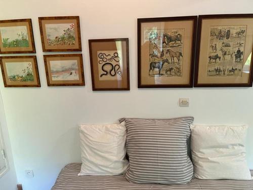 a group of pictures on a wall above a couch at LE PARC DU VIVIER in Fernestrelay