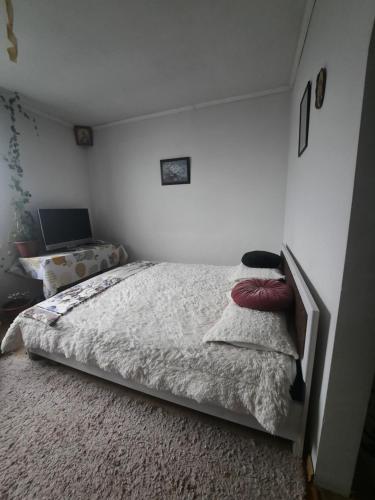 Max Apartament