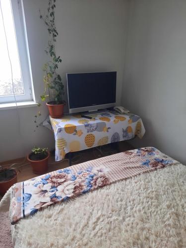 Llit o llits en una habitació de Max Apartament