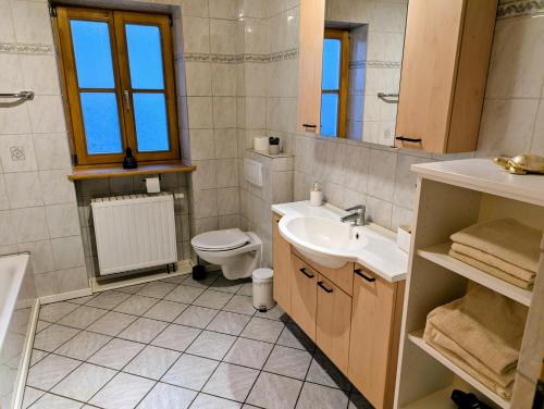 a bathroom with a sink and a toilet and a mirror at Geigerhof Bad Heilbrunn in Bad Heilbrunn