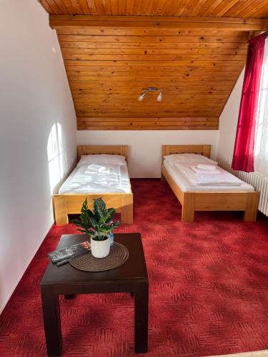 een kamer met twee bedden en een tafel erin bij Pension Libra in Velešín