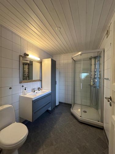 a bathroom with a shower and a sink and a toilet at Leilighet Ski in/out, golf in Vradal