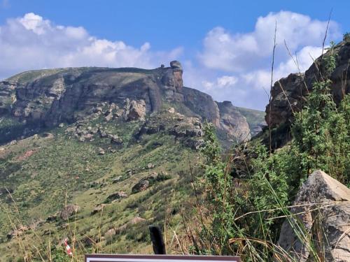 een uitzicht op een berg met bomen en rotsen bij Mount Everest Guest Farm in Harrismith