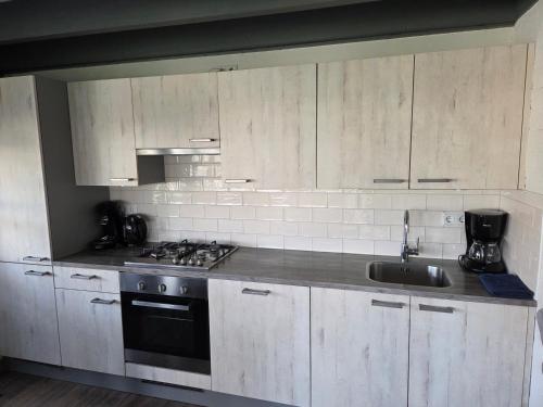 een keuken met witte kasten, een wastafel en een fornuis bij Zeeuwse Luwte in Stavenisse