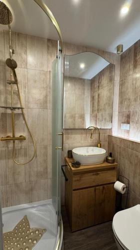 a bathroom with a sink and a toilet and a shower at Pokoje Ewka in Czarna Góra