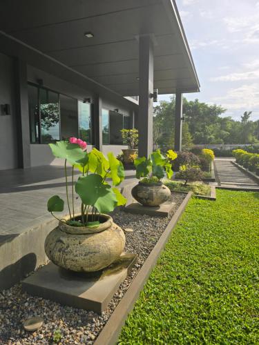 een rij vazen met planten erin voor een huis bij Live Specialty House in Ban Wang Pong