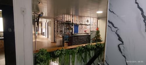 ein Raum mit einer Theke mit Pflanzen darauf in der Unterkunft Hotel Suite Americano in Pereira