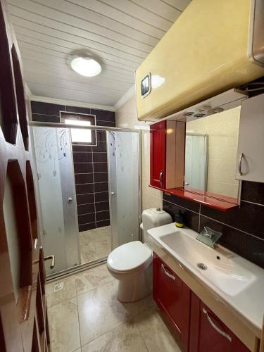 ein Badezimmer mit Toilette, Waschbecken und Dusche in der Unterkunft İsgobya Chalets 103 in Macka