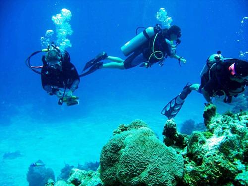 Drie mensen duiken boven een koraalrif. bij Calm Villa Ahangama in Ahangama
