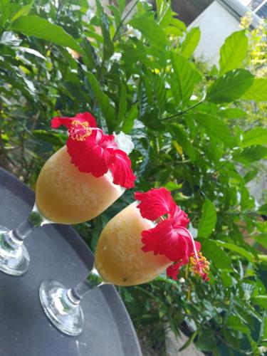 Drinks på Calm Villa Ahangama