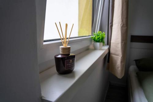 Cozy Vienna Studio Close to Metro and 10 Minutes to City Center