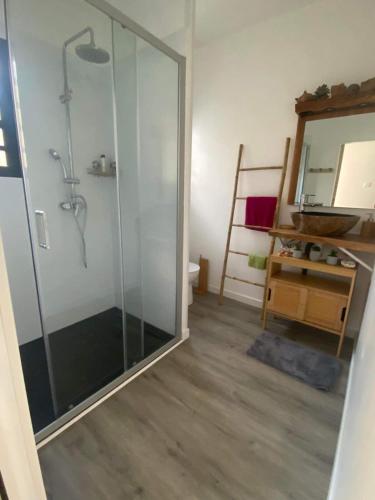 a bathroom with a shower with a glass door at Chez Sylvie et Philippe in Entre-Deux