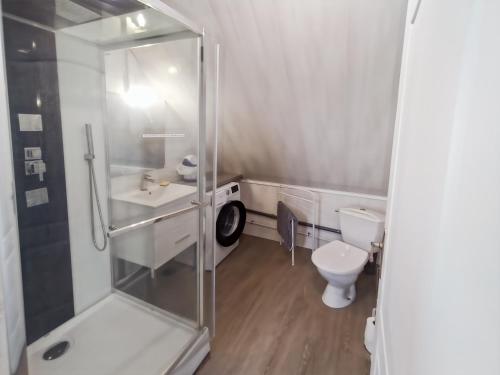 een badkamer met douche, wastafel en toilet bij Gîte de la Petite Forge in Clévilliers