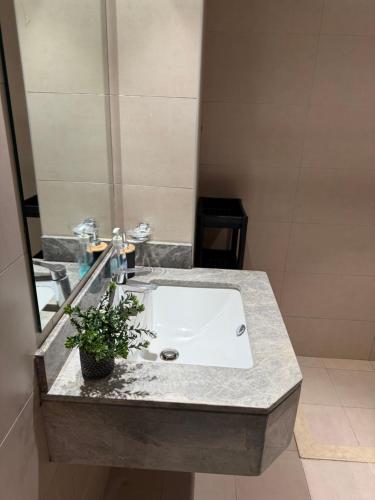 ein Badezimmer mit einem Waschbecken mit einer Topfpflanze in der Unterkunft ELManer 1403 in Schardscha