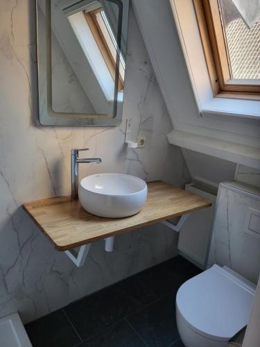 une salle de bains avec lavabo et toilettes dans l'établissement Hotel Stedswal, à Sloten