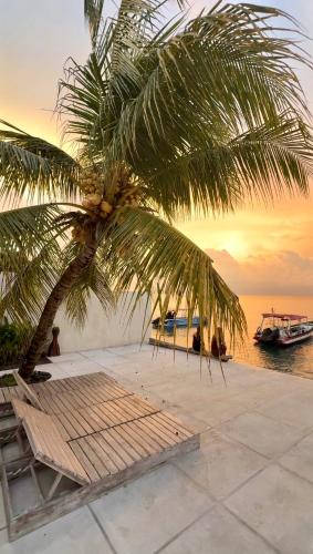 a palm tree on a beach with boats in the water at Amada Penida Villa in Nusa Penida