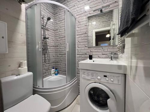 a bathroom with a washing machine and a sink at Апартаменти Площа Ринок in Lviv