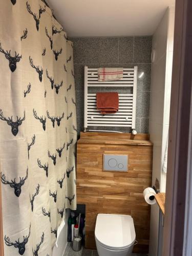 Koupelna v ubytování Central studio in Villars sur Ollon, Emeraude, for 3 only 100m to Bretaye ski train