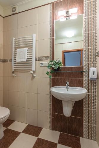 a bathroom with a sink and a mirror at Boży Dar in Krynica Zdrój