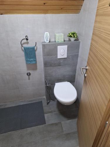 a bathroom with a white toilet in a stall at Planinska Kućica in Mostar